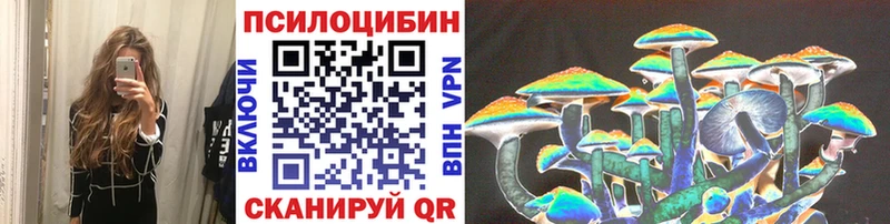 купить закладку  Серафимович  Псилоцибиновые грибы ЛСД 